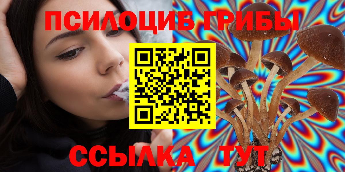 Псилоцибиновые грибы Magic Shrooms  Вход с VPN  Нововоронеж  Галлюциногенные грибы GOLDEN TEACHER 